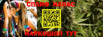 прущие грибы Пушкино