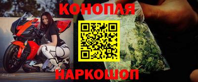 прущие грибы Пушкино